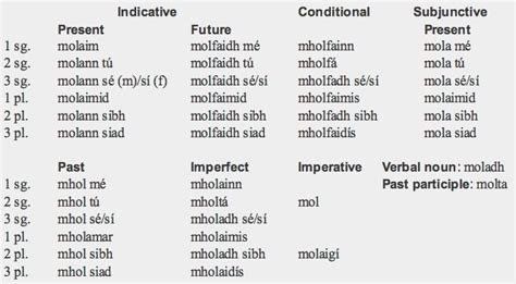 Irish verb 'dligh' conjugated.